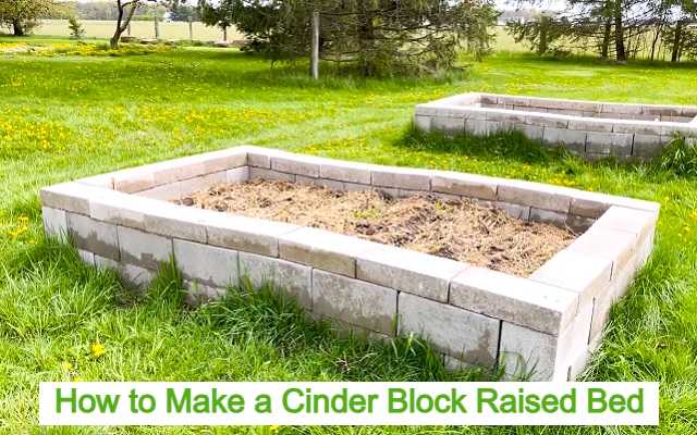 Cinder Block Raised Bed