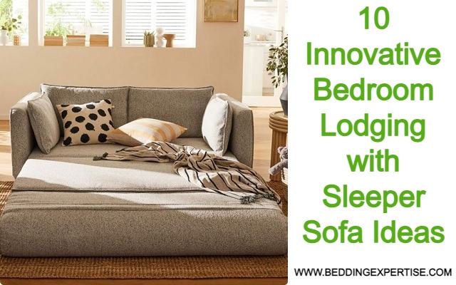 bedroom lodging with sleeper sofa