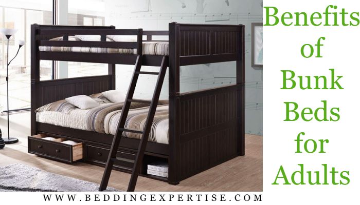 Bunk Beds for Adults