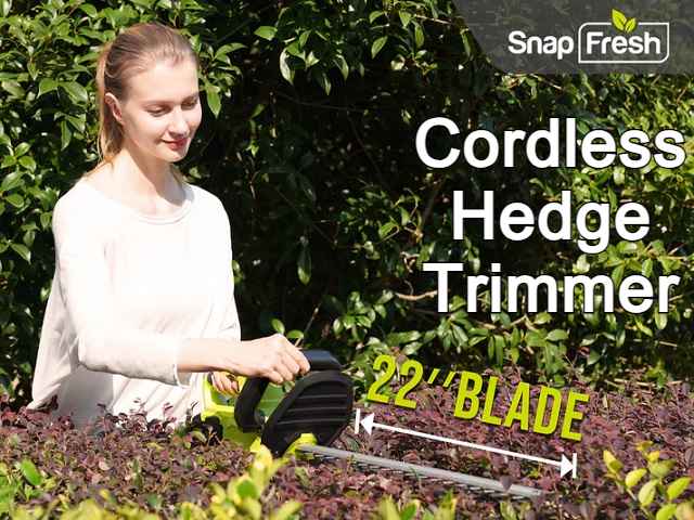 Cordless Hedge Trimmer: The Ultimate Guide To Efficient, Hassle-Free ...